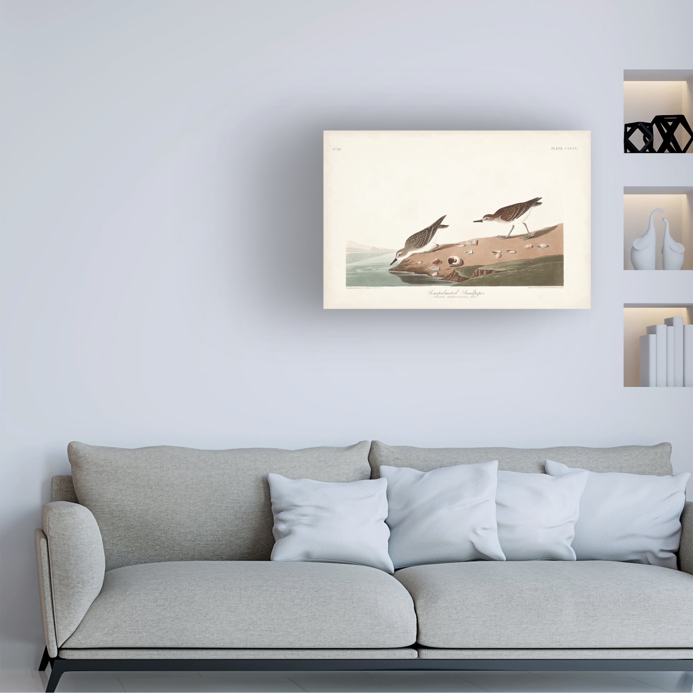 John James Audubon 'Semipalmated Sandpiper' Canvas Art
