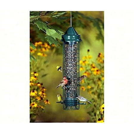 Brome GC Bird Care - Squirrel...