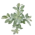 thumbnail image 4 of Mainstays Indoor Artificial Foliage Bush, Lamb's Ears Plant, Green Color, 19.5" Height, Pot Not Included., 4 of 8