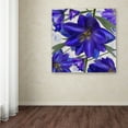 thumbnail image 3 of Trademark Fine Art "Delphine I" Canvas Art by Color Bakery, 3 of 3