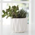 thumbnail image 3 of Better Homes & Gardens 5" Ceramic Geometric Pot-White, 3 of 8