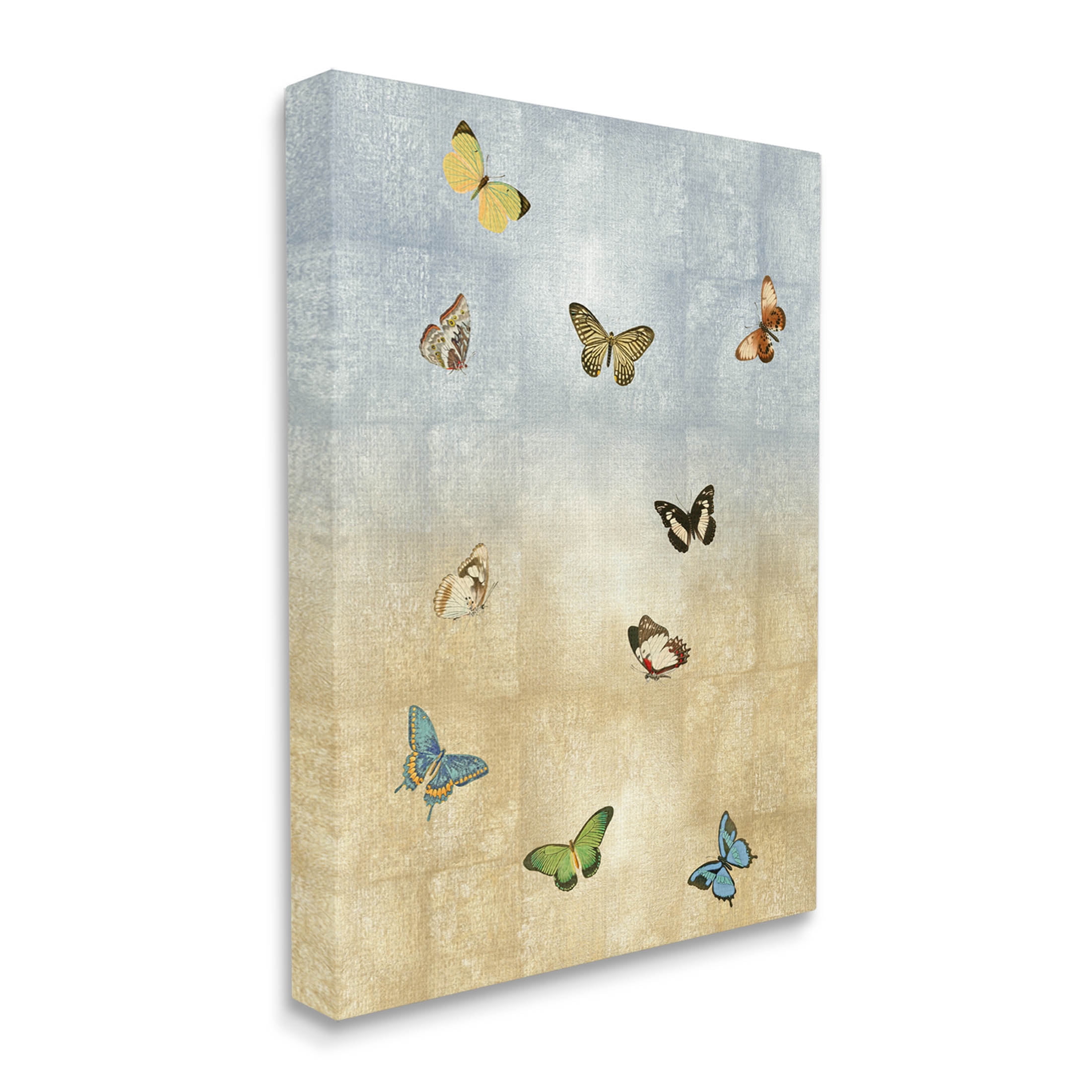 Various Butterfly Insect Pattern Animals & Insects Graphic Art Gallery Wrapped Canvas Print Wall Art