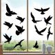 thumbnail image 1 of Pegatinas anticolisión para pájaros en ventanas, protección de puertas de vidrio y protección para pájaros, reflexión, 11 piezas, B, 1 of 5