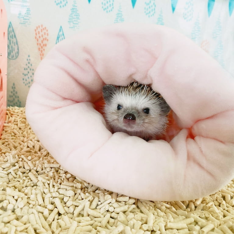 Hedgehog bed deals