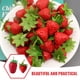 thumbnail image 5 of KAKOWELY 12 piezas de decoraciones de fresas artificiales, modelos de fresas, adornos de frutas falsas, decoraciones fotográficas, 5 of 5