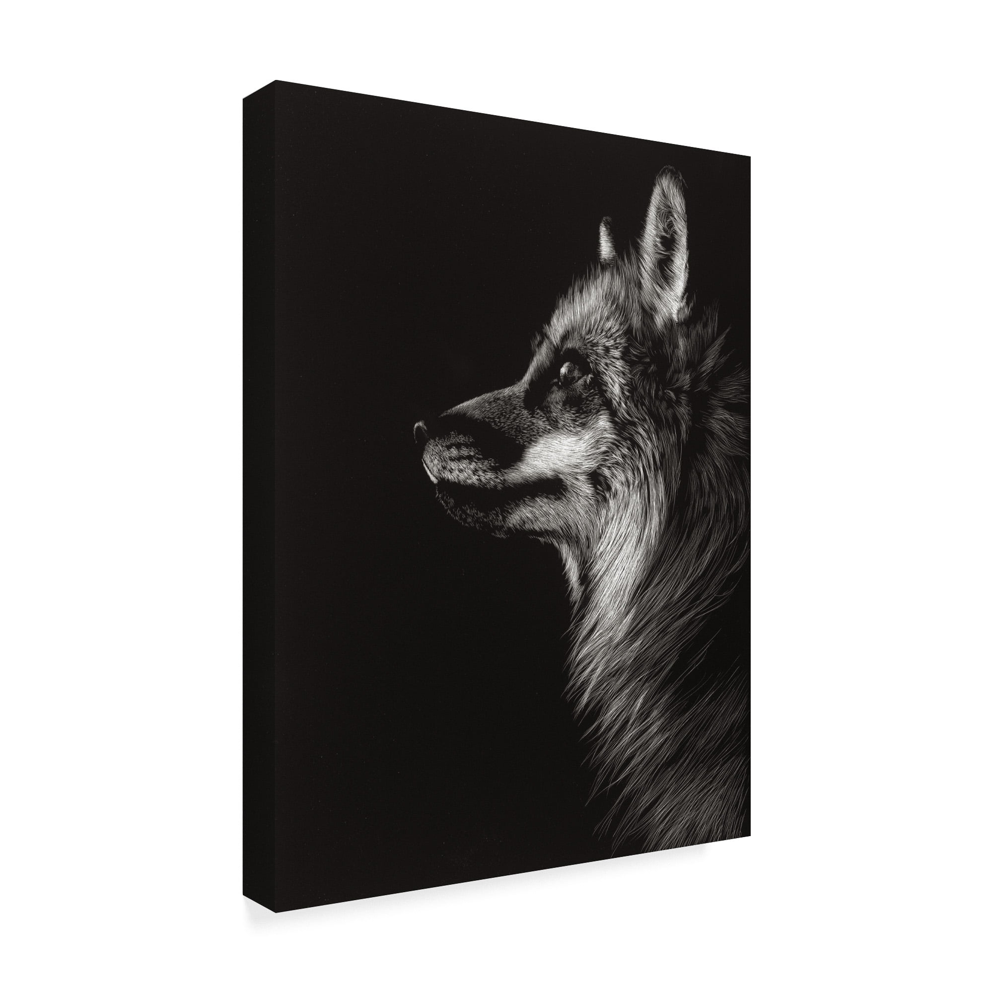 Trademark Fine Art 'Black Glimpse V' Canvas Art by Julie T. Chapman
