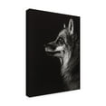 thumbnail image 2 of Trademark Fine Art 'Black Glimpse V' Canvas Art by Julie T. Chapman, 2 of 4