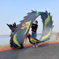 thumbnail image 2 of Dragon Dance Ribbon, Sports Fitness Dragon Dancer Streamer Set, Lightweight Rhythmic Throwing Game Set for Outdoor Fitness Juggling, 2 of 8
