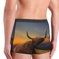 thumbnail image 6 of Salouo Yak Print Men's Boxer Briefs,Breathable Underwear Elastic Waistband Briefs for Men -X-Large, 6 of 8