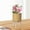 Yellow, variant on koolsoo Plant Basket with Legs Simple Plant Pot for Farmhouse Drawing Room Apartment Brown