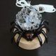 thumbnail image 1 of Natural Crystal Spider Lamp Halloween Hot Selling Crystal Lamp Desktop Bedside Study Night Light Home Decoration Ornaments, 1 of 5