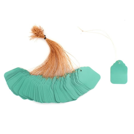 Mirror Hang Tags - Garden Plastic Rectangle Shaped Plant Hang Tag Label Turquoise 5 x 7cm 100pcs