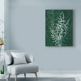 thumbnail image 3 of Trademark Fine Art 'Jewel Ferns II' Canvas Art by James Burghardt, 3 of 4