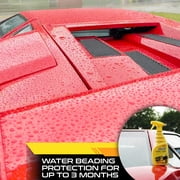 Formula 1 Fast Wax Carnauba Detailing Spray – Car Wax for Natural Gloss – Easy to Use Exterior Detailing Supplies for All Paint Finishes (16 ounce)