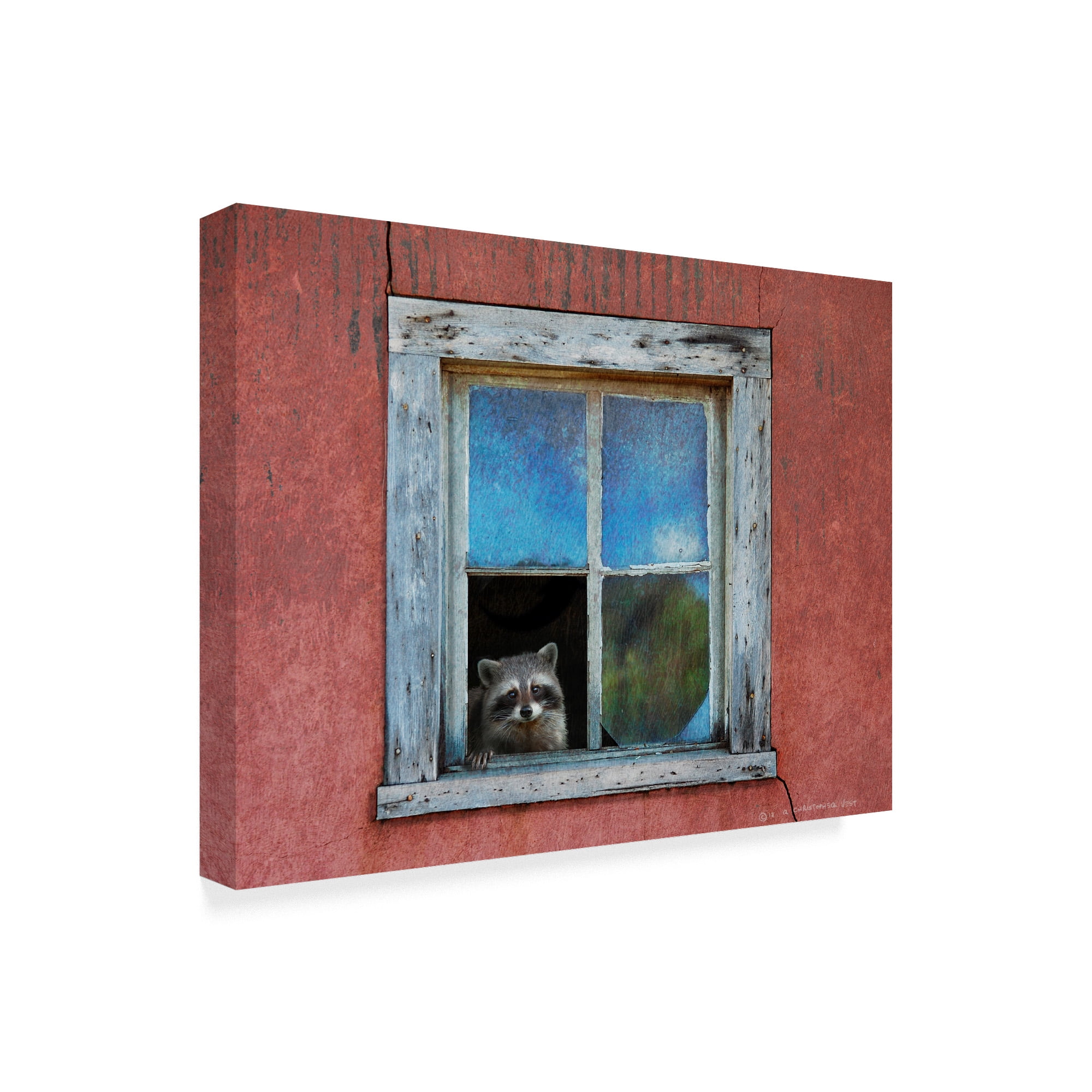 Trademark Fine Art 'Raccoon Window' Canvas Art by Chris Vest