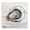 Lonely Oyster Shell Study, variant on Stupell Industries Eclectic World Is Your Oyster Black Floating Frame Canvas Art, 18 x 18, by Yvette St. Amant