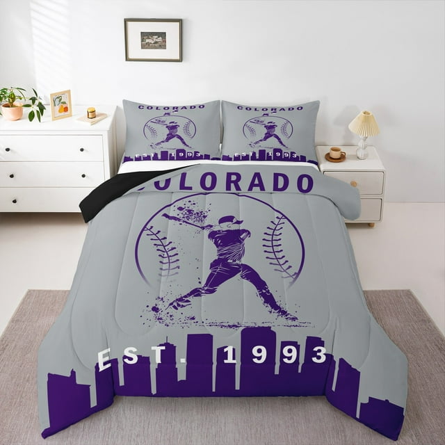 Erosebridal Ball Game Comforter Sets, Baseball Sports Comforters & Duvets, Cartoon Theme Reversible Bedding Comforter Set, Lightweight Room Decorative, 2 Pieces
