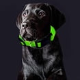 thumbnail image 5 of Collar impermeable para perros, equipo para perros desodorante, cinta de nailon recubierta con rayas reflectantes, 5 of 5