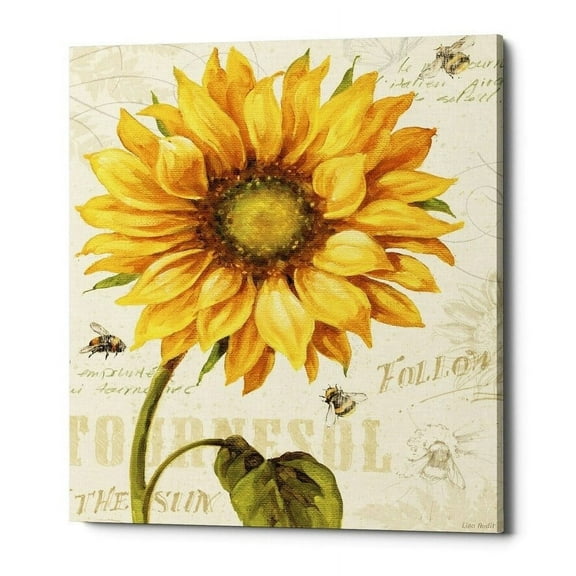 Epic Graffiti 'Under The Sun I' by Lisa Audit, Canvas Wall Art, 26"x30"