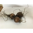 thumbnail image 2 of 8 Bareroot Red Surprise Lily/ Resurrection Lily/ Naked Lady/ August Lily/ Lycoris Raidanti/ Red Spider Lily, 2 of 7