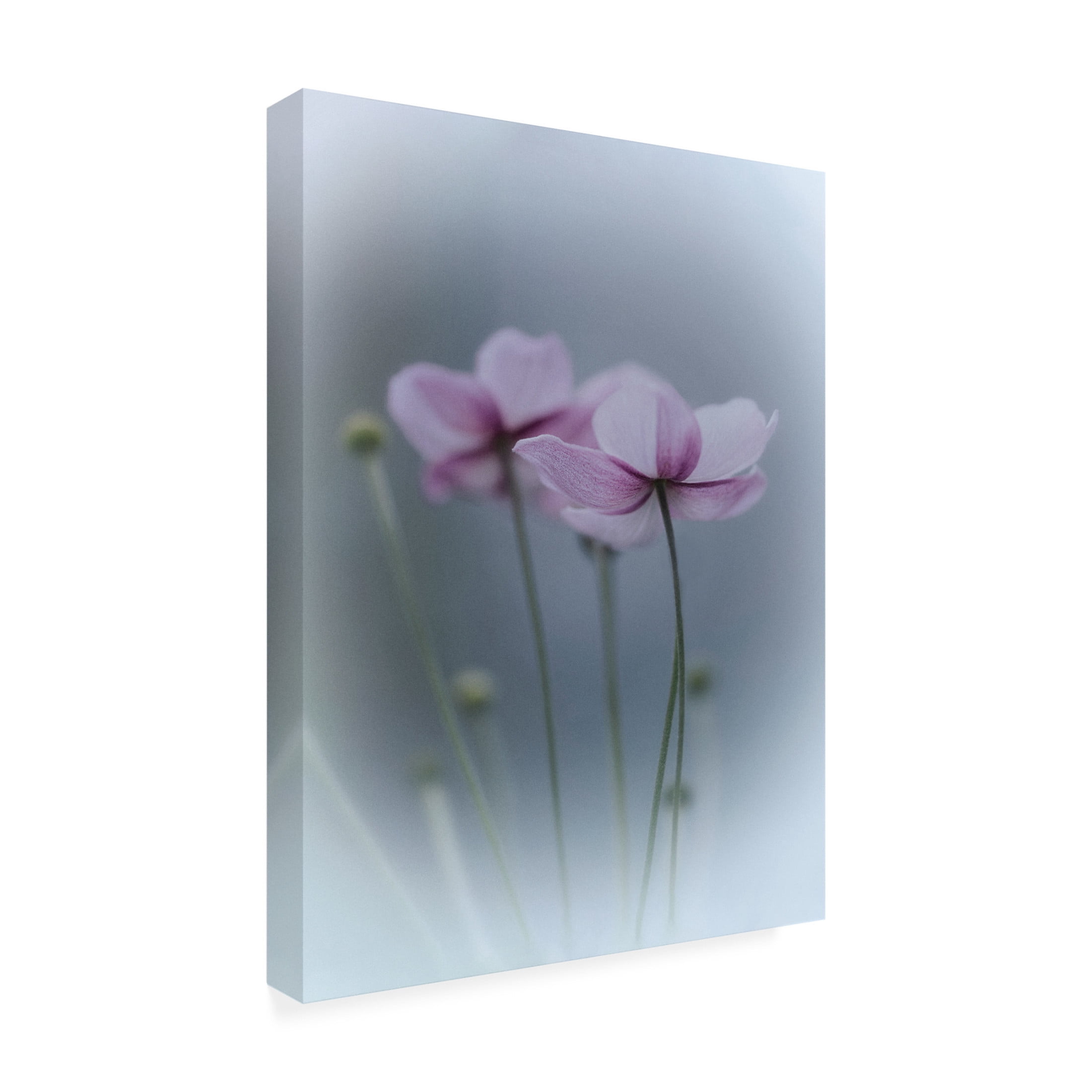 Canvas Wall Art - Purple Bamboo 'Purple Delight' Wall Art for Living Room, Bedroom, or Office D?cor by Trademark Fine Art - 35 x 47 Inches