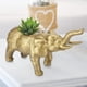 thumbnail image 1 of Maceta suculenta linda duradera, maceta decorativa, balcón para regalo de oficina en casa LYUMO Maceta suculenta linda duradera, 1 of 6