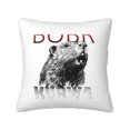 thumbnail image 1 of Fundas de almohada de terciopelo de castor, fundas de almohada decorativas suaves y acogedoras con cremallera oculta para dormitorio, sofá, sillón, funda de almohada de terciopelo, 1 of 8