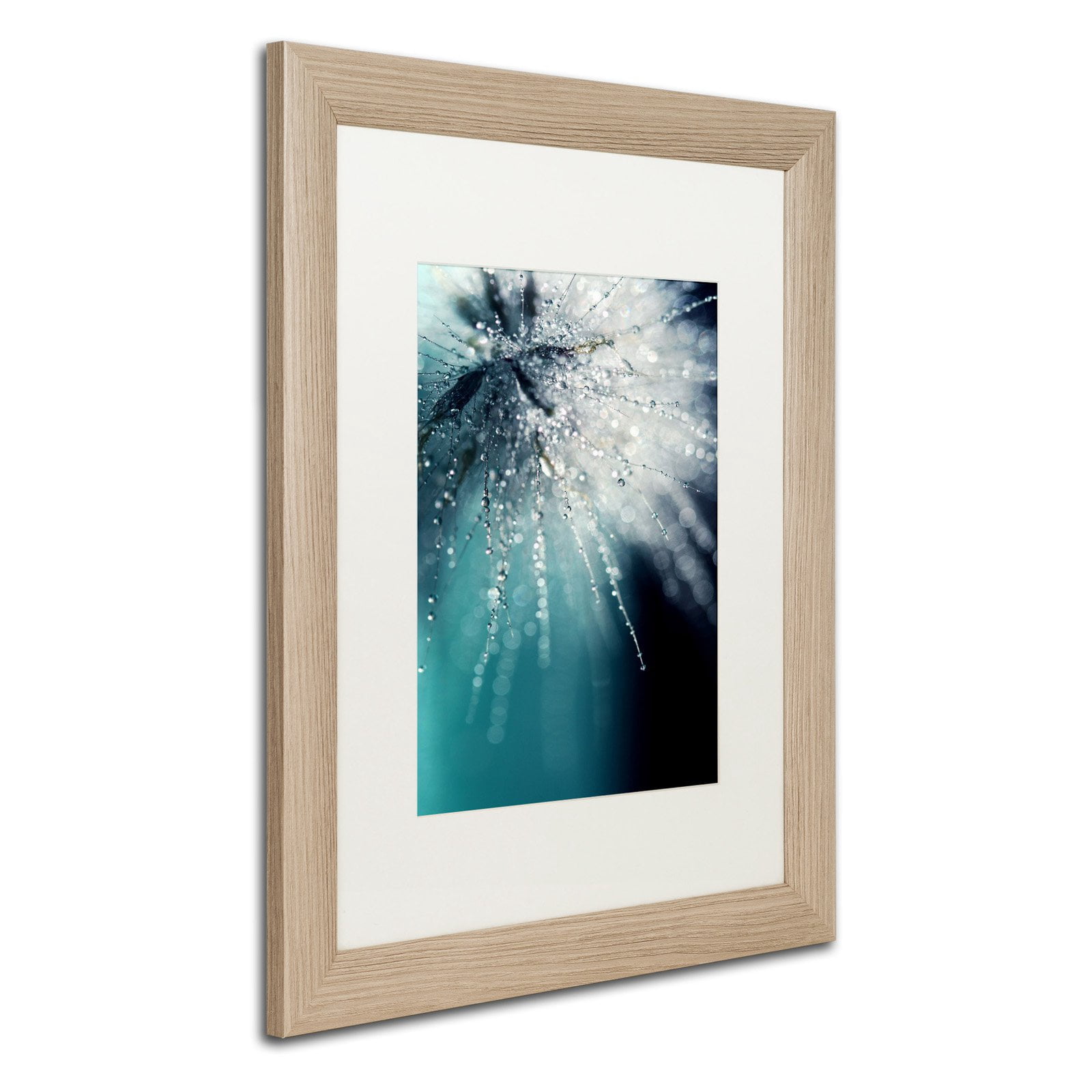 Trademark Fine Art "Morning Sonata" Framed Canvas Art by Beata Czyzowska Young