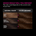 thumbnail image 5 of Garnier Olia Oil Powered Permanent Hair Color, 4.3 Dark Golden Blonde, 5 of 9