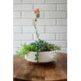 thumbnail image 3 of The HC Companies 8" x 8" x 3" Round Artisan Taupe Plastic Planter with Drainage, 3 of 7