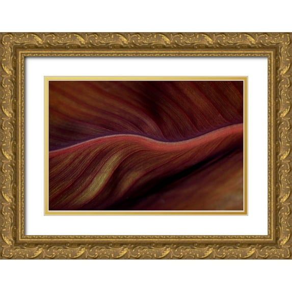 Wechsler, Robin 32x23 Gold Ornate Wood Framed with Double Matting Museum Art Print Titled - The Red Desert Dunes