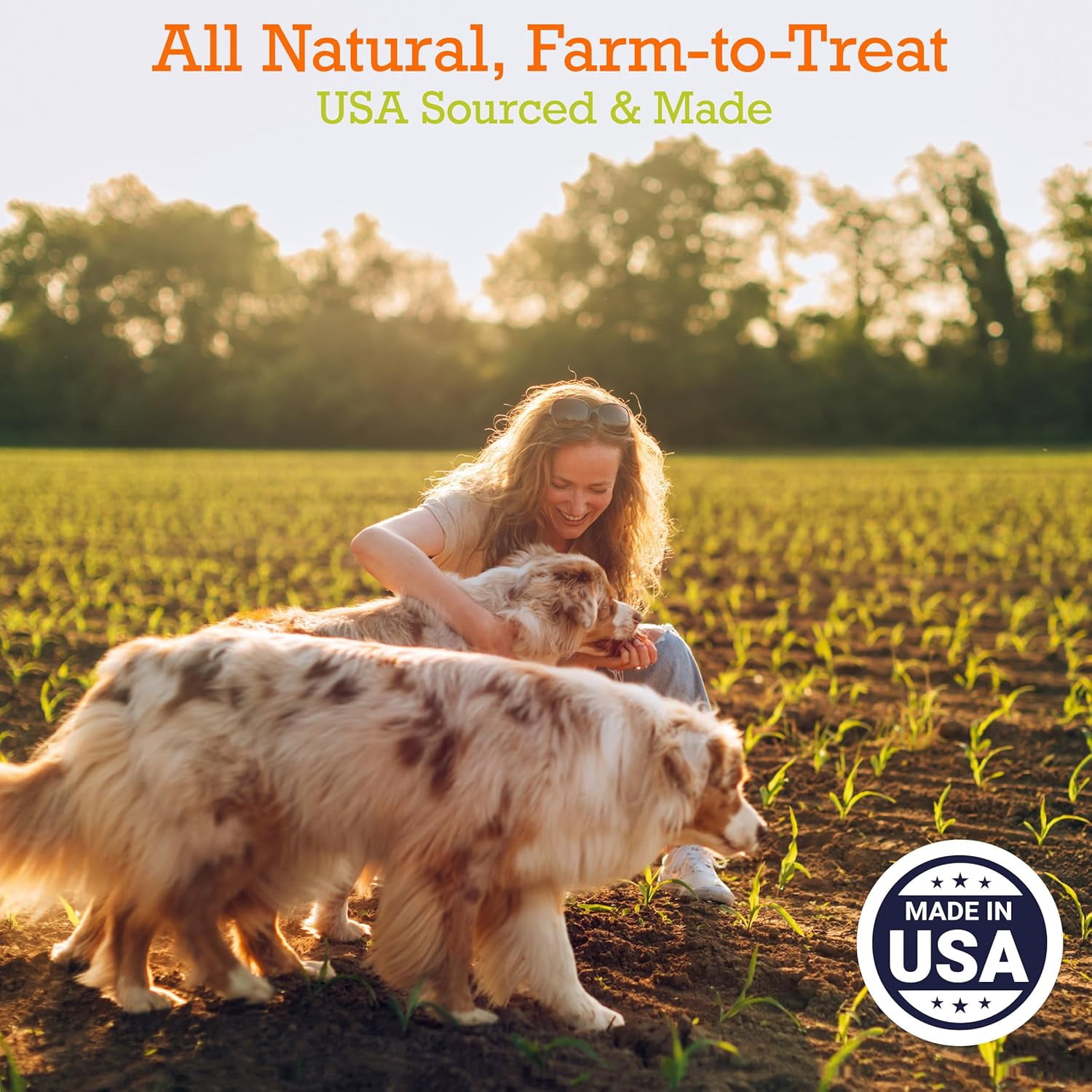 Riley's Rice & Chicken Jerky Dog Treats - Non-GMO, High Protein, All Natural Dog Chews - Training Treats for Small & Large Dogs - Easy to Break into Bite-Sized Pieces - 10oz