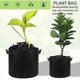 thumbnail image 5 of Delicias para jardineros: resistentes jardineras de tela no tejida con asas, el contenedor resistente ofrece un excelente drenaje para sus canteros de jardín de 2 galones, la tela transpirable, 5 of 5