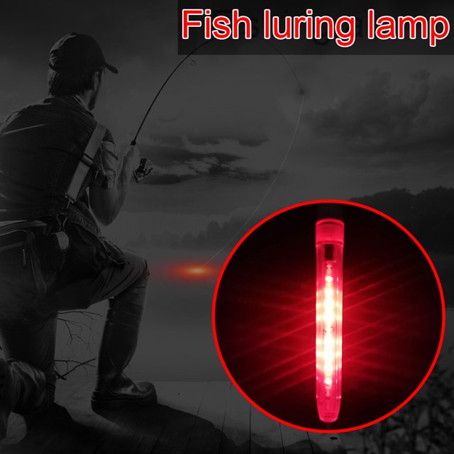 Palo De Luz De Pesca Equipo de lámpara de pesca de mar multifuncional para atraer señuelos (rojo)