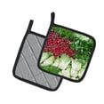 thumbnail image 2 of Carolines Treasures GAK1023PTHD Salad by Gary Kwiatek Pair of Pot Holders, 7.5HX7.5W, multicolor, 2 of 2