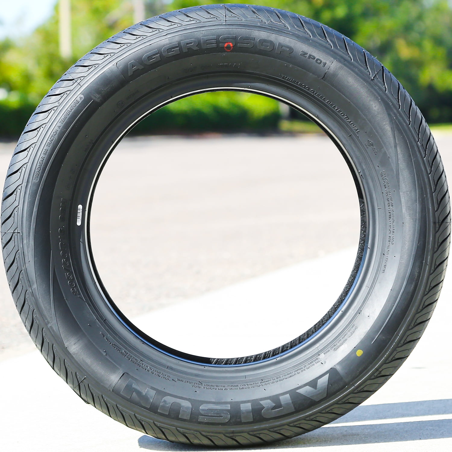 Arisun Aggressor ZP01 205/60R16 92H a s All Season Tire, Passenger