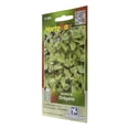 thumbnail image 3 of Semillas De Orégano Hortaflor 0.03G Verde, 3 of 3