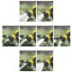 thumbnail image 3 of Boquilla para manguera de jardín de alta presión con múltiples patrones de rociado y dispensador de jabón, 3 of 5