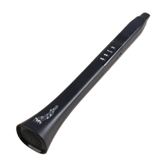 MERIGLARE Electronic Wind Instrument Easy to Use for Home Playing Music Learning Gifts