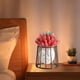 thumbnail image 4 of Jarrón de flores de vidrio hidropónico Soporte de hierro de mesa | Jardinera decorativa transparente moderna | Para sala de estar, dormitorio, estudio | Contenedor de plantas acuáticas de interior |, 4 of 6