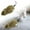 A, variant on KMWGRE Interactive Running Toy with Twirling Tail for Cats and Dogs Pet D 16cm
