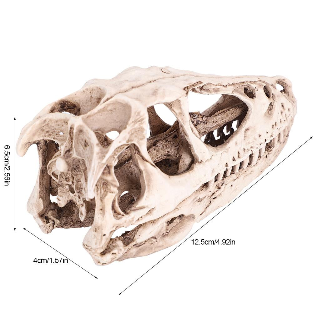 Simulation Vivid Resin Animal Skull Model Head Skeleton Replica f/ Decor 