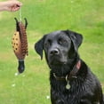 thumbnail image 4 of Mulipurpose Pet Dead Fowl Fetch Toy For Training Dogs Outdoor Indoor Imitate Dead Fowl Essential For Trainers, 4 of 9