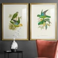thumbnail image 5 of Wexford Home Lime & Cerulean Parrots I Premium Framed Print, 22.5" x 30.5" - Ready to Hang, Gold (Set of 2), 5 of 9