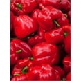 thumbnail image 2 of Art.com Red Bell Peppers for Sale at Weekly Market, Arles, Bouches-Du-Rhone, Provence-Alpes-Cote D'Azur Stretched Canvas Print Wall Art, 12" x 16", 2 of 4