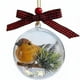 thumbnail image 2 of Adorno de Navidad 3D Transparente Bola de Pájaro | Decoración de árbol colgante hecha a mano | Efecto de globo de nieve con remolino de purpurina, caja de música, exhibición de pájaros realista,, 2 of 5