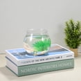 thumbnail image 4 of Fish Bowl Round Fish Tanks Transparent Plastic 2Pcs, 4 of 6