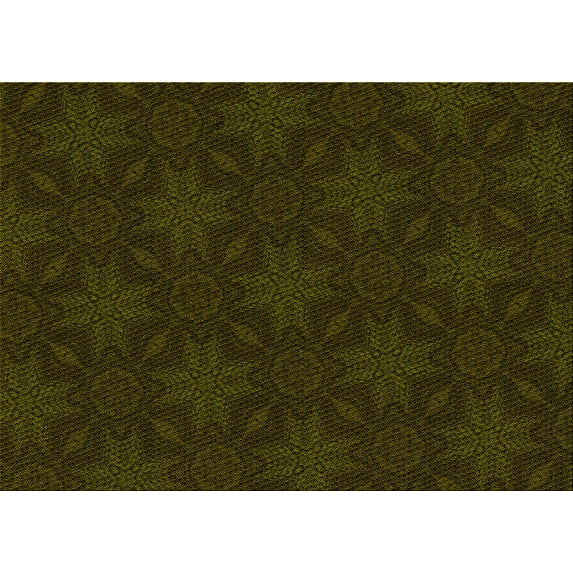 Ahgly Company Indoor Rectangle Patterned Dark Bronze Brown Area Rugs, 2' x 4'