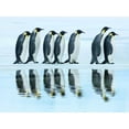 thumbnail image 2 of Krahmer, Frank 14x12 Gold Ornate Wood Framed with Double Matting Museum Art Print Titled - Emperor penguin group, Antarctica, 2 of 4