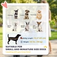thumbnail image 4 of PawHut Double Pet Stroller, Foldable Dog Stroller with 2-Seater Carrier, 4 of 10